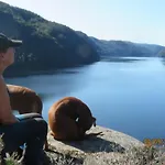Ovstefjellsa Gard &aktivitet Senter Casa de hóspedes Flekkefjord