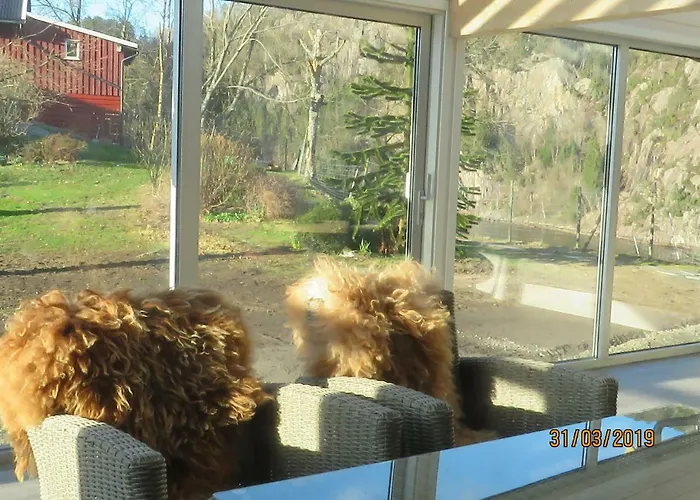 Ovstefjellsa Gard &aktivitet Senter